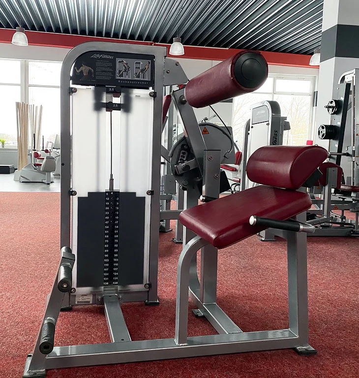 Life Fitness Pro2 und Hammer Strength - 15 Kraftgeräte im Set, Rahmen Silber, gebraucht - überholter Zustand