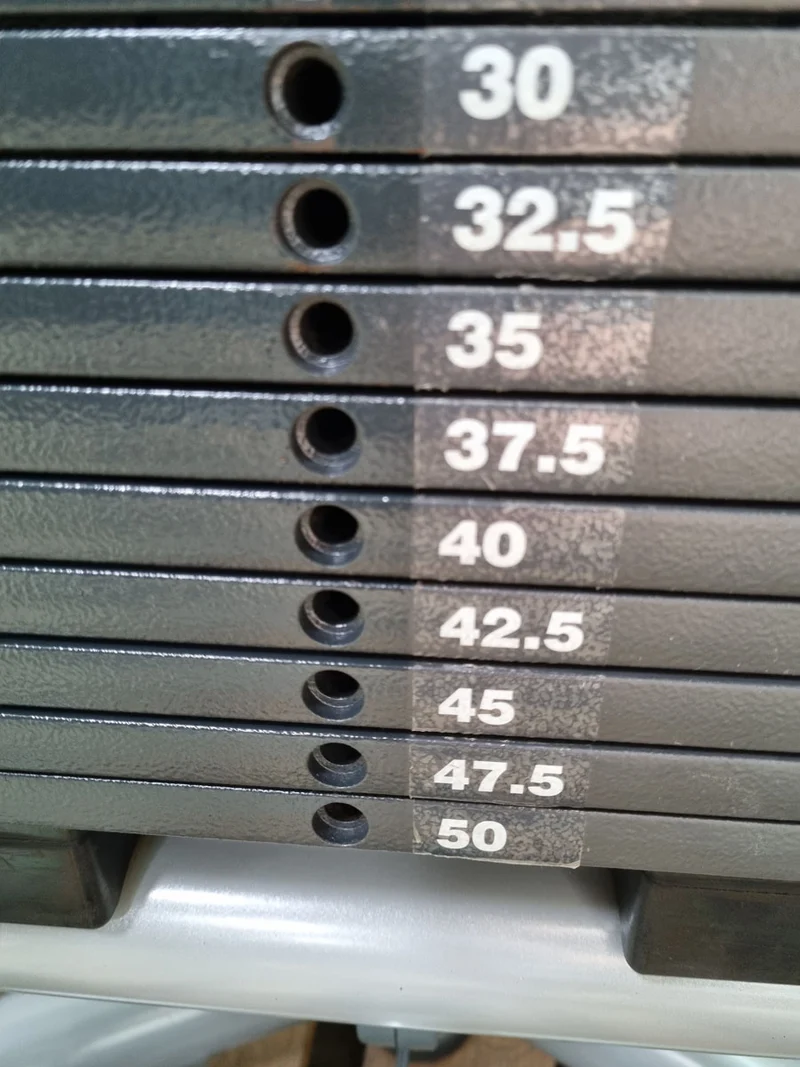 TechnoGym Kabelzug, Cable Crossover, Seilzug von oben und unten, Rahmenfarbe Silber, gebraucht - überholter Zustand
