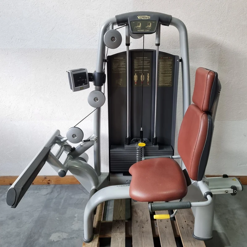 Technogym Wadenmaschine sitzend, Rotary Calf Press, Wadenpresse, Selection Line mit Isocontrol Display, Rahmenfarbe Silber, Polsterfarbe Braun, gebrauchter - überholter Zustand