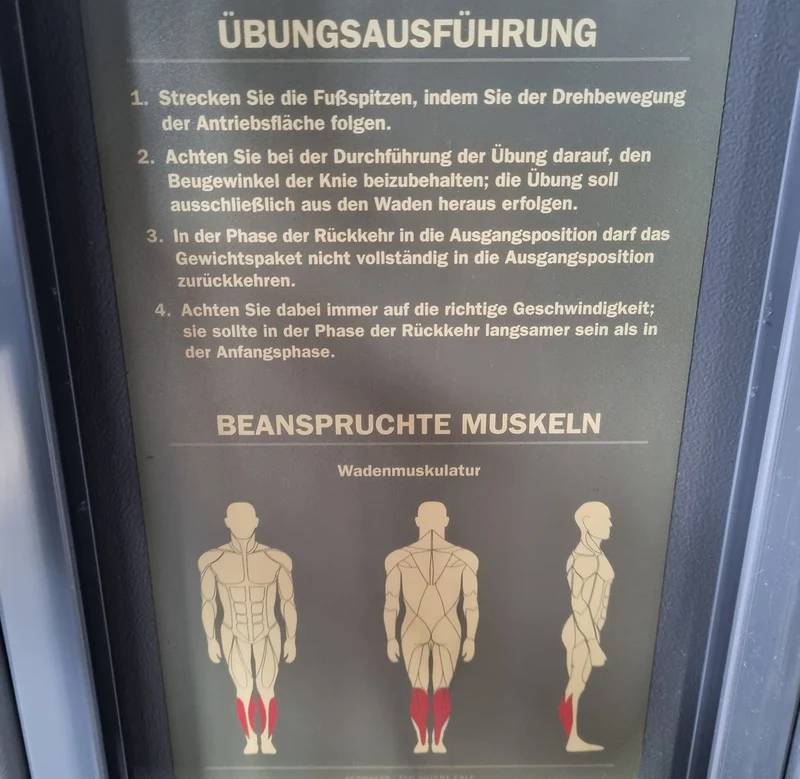 Technogym Wadenmaschine sitzend, Rotary Calf Press, Wadenpresse, Selection Line mit Isocontrol Display, Rahmenfarbe Silber, Polsterfarbe Braun, gebrauchter - überholter Zustand