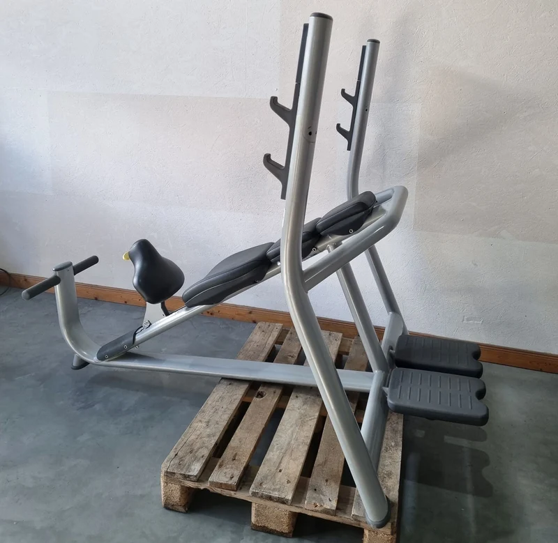 Technogym Schrägdrückerbank, Olympic Inclined Bench, Hantelbank Schrägbankdrücken, Rahmenfarbe Silber, Selection Line, gebraucht - überholter Zustand