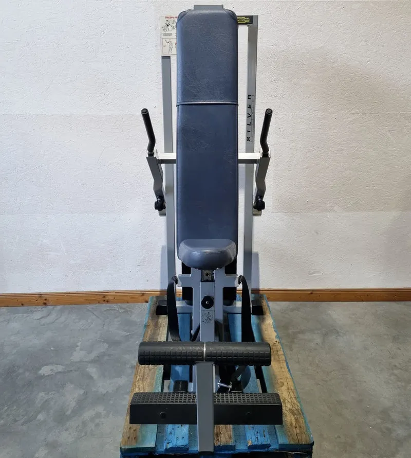 Technogym Dip sitzend, Trizepsmaschine, Stützstemme, Armstrecker, Rahmenfarbe Silber, Silverline, gebraucht - überholter Zustand