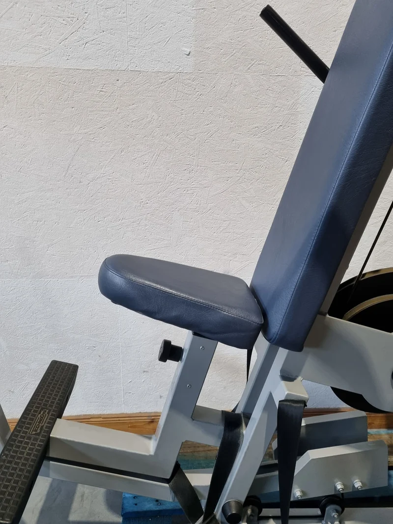 Technogym Dip sitzend, Trizepsmaschine, Stützstemme, Armstrecker, Rahmenfarbe Silber, Silverline, gebraucht - überholter Zustand