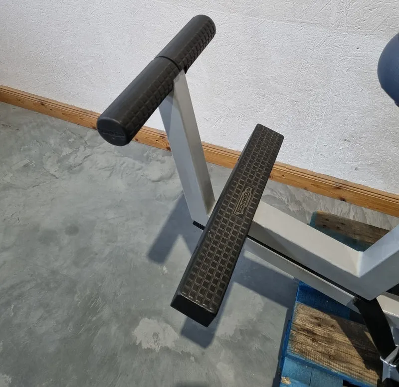Technogym Dip sitzend, Trizepsmaschine, Stützstemme, Armstrecker, Rahmenfarbe Silber, Silverline, gebraucht - überholter Zustand