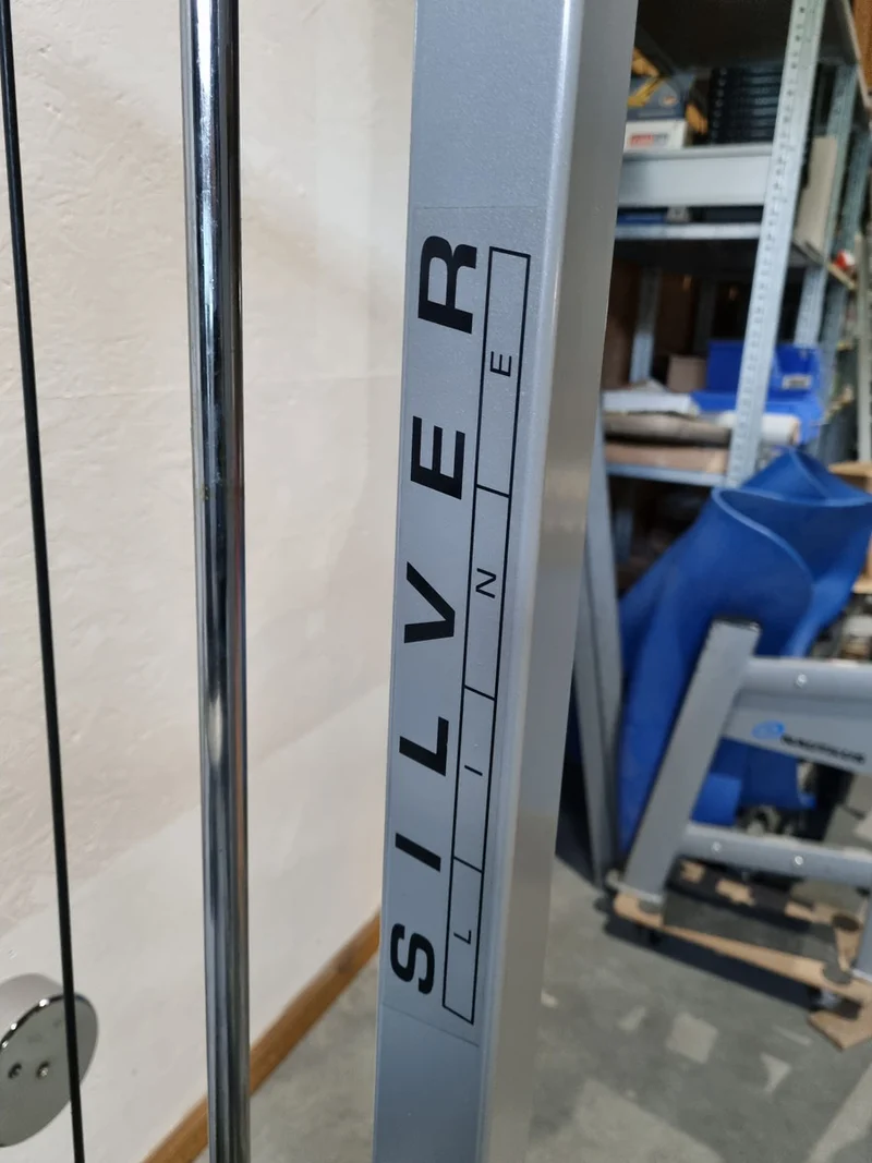 Technogym Dip sitzend, Trizepsmaschine, Stützstemme, Armstrecker, Rahmenfarbe Silber, Silverline, gebraucht - überholter Zustand