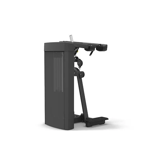 Spirit Fitness Wadenmaschine stehend SP-4317