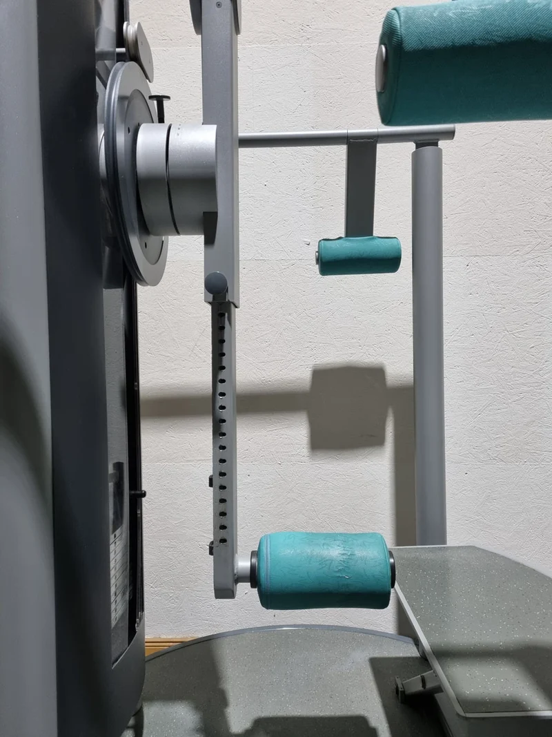 Frei Genius Hüftmaschine, Hüftpendel, Multi Hip, Kickmaschine, Total Hip auch für Ab-Adduktoren Training nutzbar, Rahmenfarbe Silber - gebraucht - überholter Zustand
