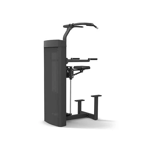 Spirit Fitness Klimmzug- und Dipmaschine mit Gewichtsunterstützung SP-4314