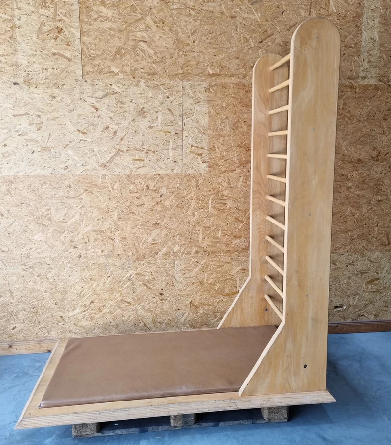 Sprossenwand zum dehnen mit Polster, diverse Übungen möglich, Polsterfarbe Braun, gebrauchter Zustand