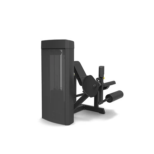Spirit Fitness Beinstrecker SP-4305
