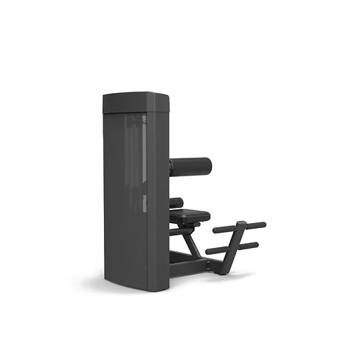 Spirit Fitness Rückenstrecker SP-4310