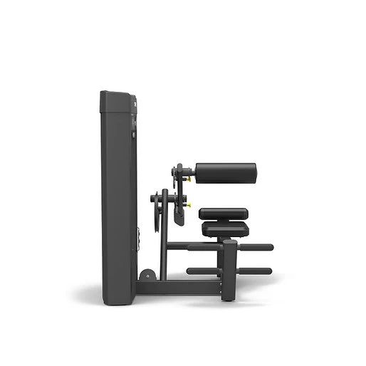 Spirit Fitness Rückenstrecker SP-4310