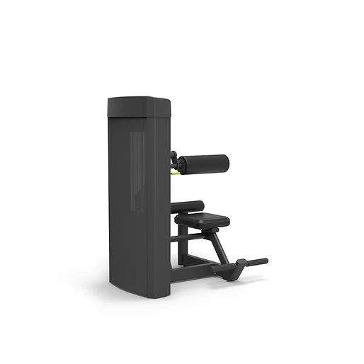 Spirit Fitness Bauchmaschine SP-4309