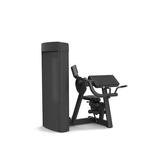 Spirit Fitness Bizeps Curl SP-4307