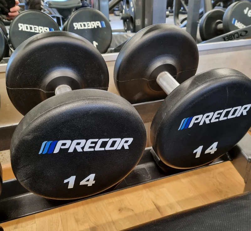 Precor Kurzhantel Satz aus PU Polyurethan Gummiert, 2 bis 30kg, verschiedene Stufen, erst 3 Jahre alt, Schwarz, gebraucht - guter Zustand
