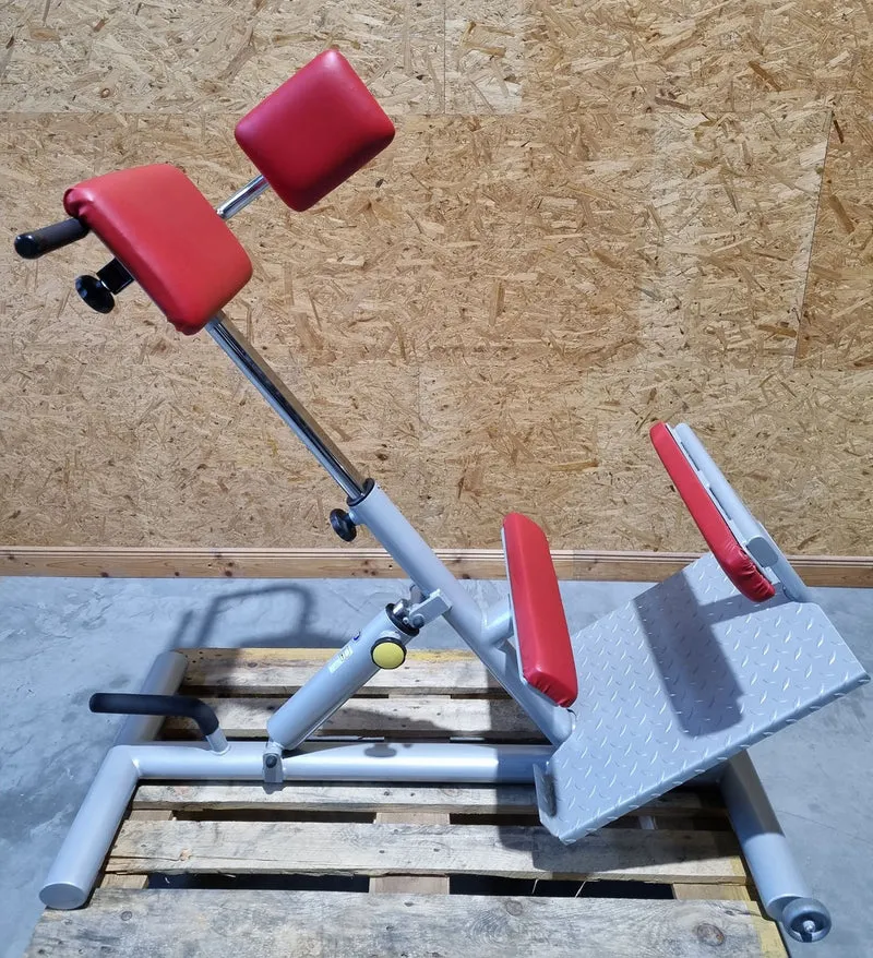 Proxomed Rückentrainer Kombi, Compass 530, Rückenstreckerbank 45° Hyperextension, Lateral Trainer, MPG, Reha, Rahmenfarbe Silber, gebraucht - überholter Zustand