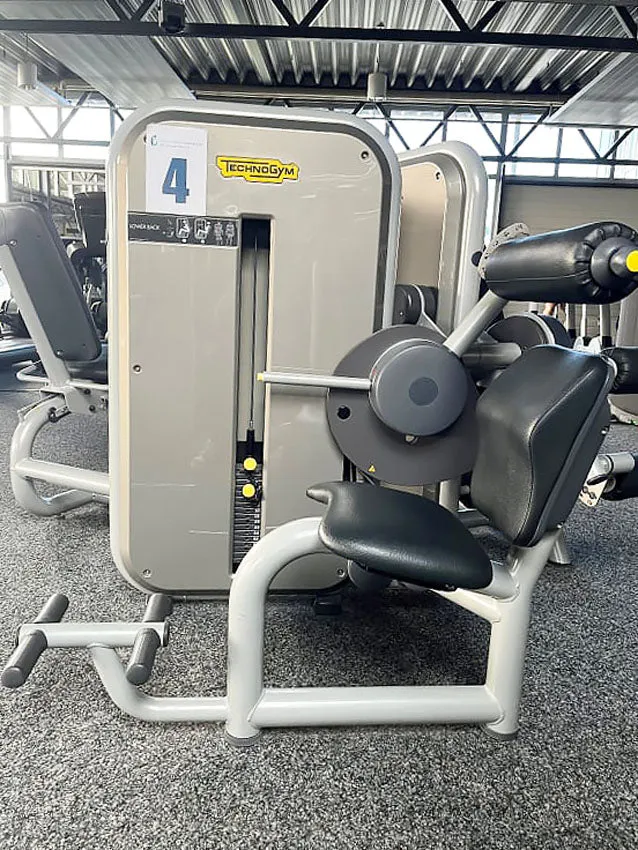 TechnoGym 13 Kraftgeräte im Set, Element Line Serie, gebraucht - überholter Zustand
