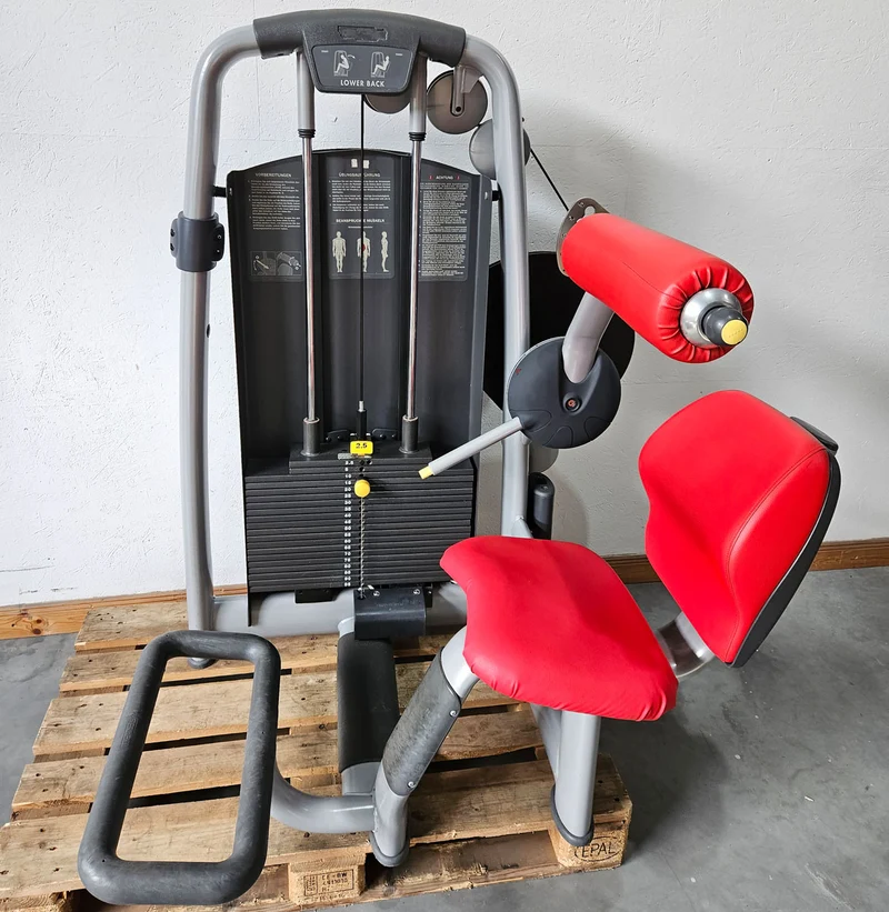 TechnoGym 18 Kraftgeräte im Set, Selection Line, Strength Machines with Stack Weight, Polster Rot, gebraucht - überholter Zustand