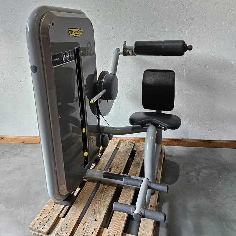 TechnoGym 12 Kraftgeräte im Set, Element Line Serie, Kraftgerätepark Fitnessstudio, gebraucht - überholter Zustand