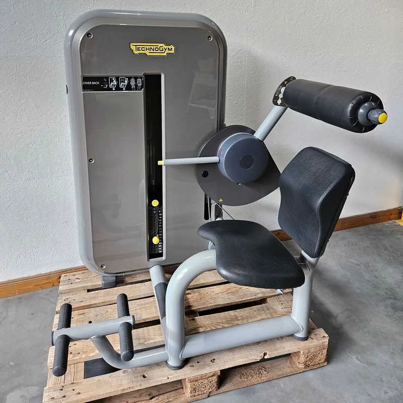 TechnoGym 12 Kraftgeräte im Set, Element Line Serie, Kraftgerätepark Fitnessstudio, gebraucht - überholter Zustand