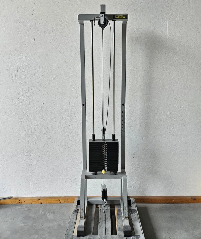 TechnoGym 2x Kabelzug, Cable Crossover, Seilzug von oben und unten, Silverline, Oldschool, Rahmenfarbe Silber, gebraucht - mit Gebrauchsspuren