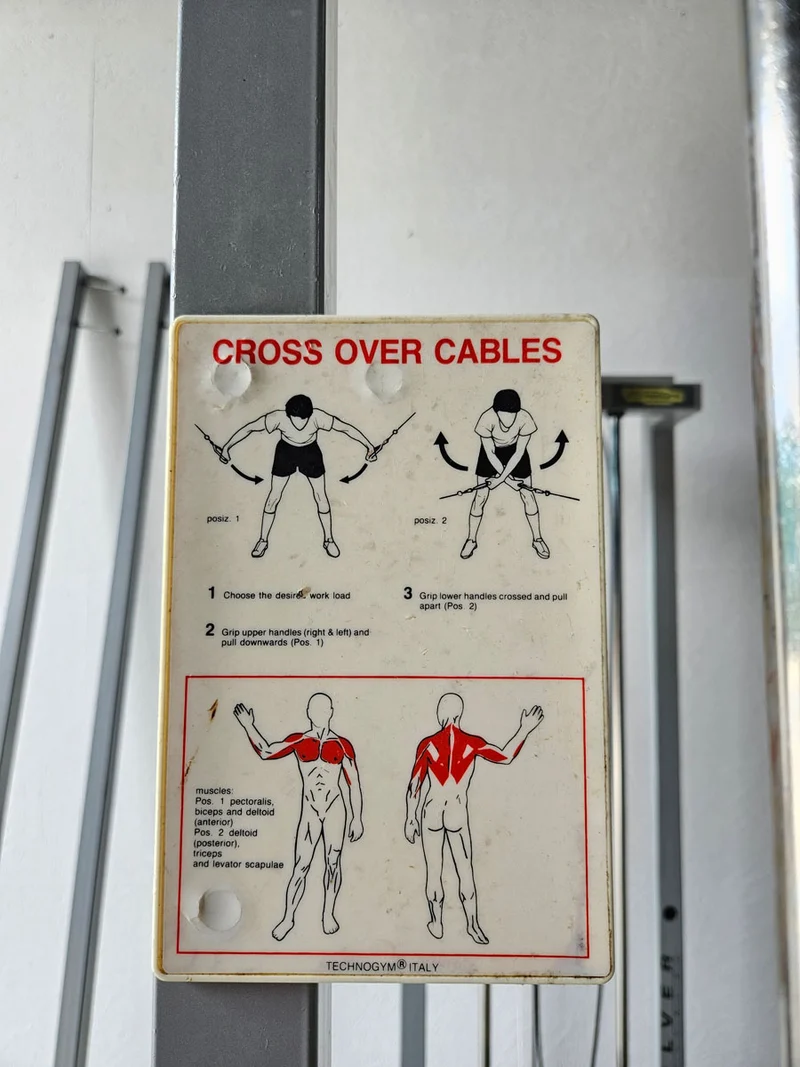 TechnoGym 2x Kabelzug, Cable Crossover, Seilzug von oben und unten, Silverline, Oldschool, Rahmenfarbe Silber, gebraucht - mit Gebrauchsspuren