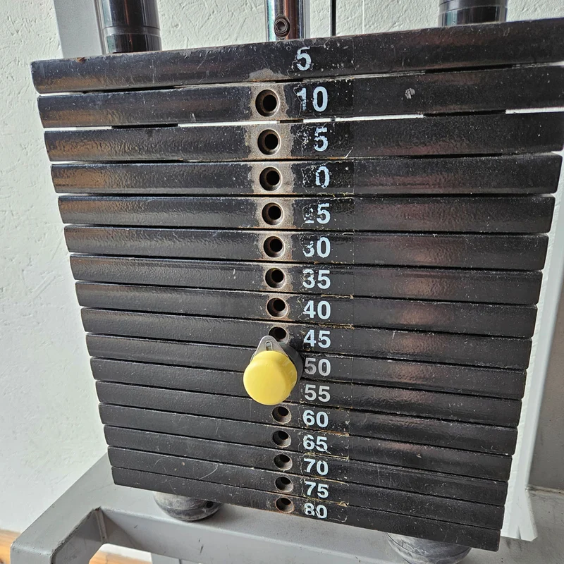 TechnoGym 2x Kabelzug, Cable Crossover, Seilzug von oben und unten, Silverline, Oldschool, Rahmenfarbe Silber, gebraucht - mit Gebrauchsspuren