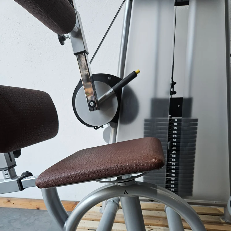 Proxowell bzw Proxomed Rückenflexion, Bauchmaschine, Rückenbeuger, Abdominal Crunch, 100kg Gewichtsblock, Compass bzw C-Well Serie, Rahmenfarbe Silber, gebraucht - überholter Zustand