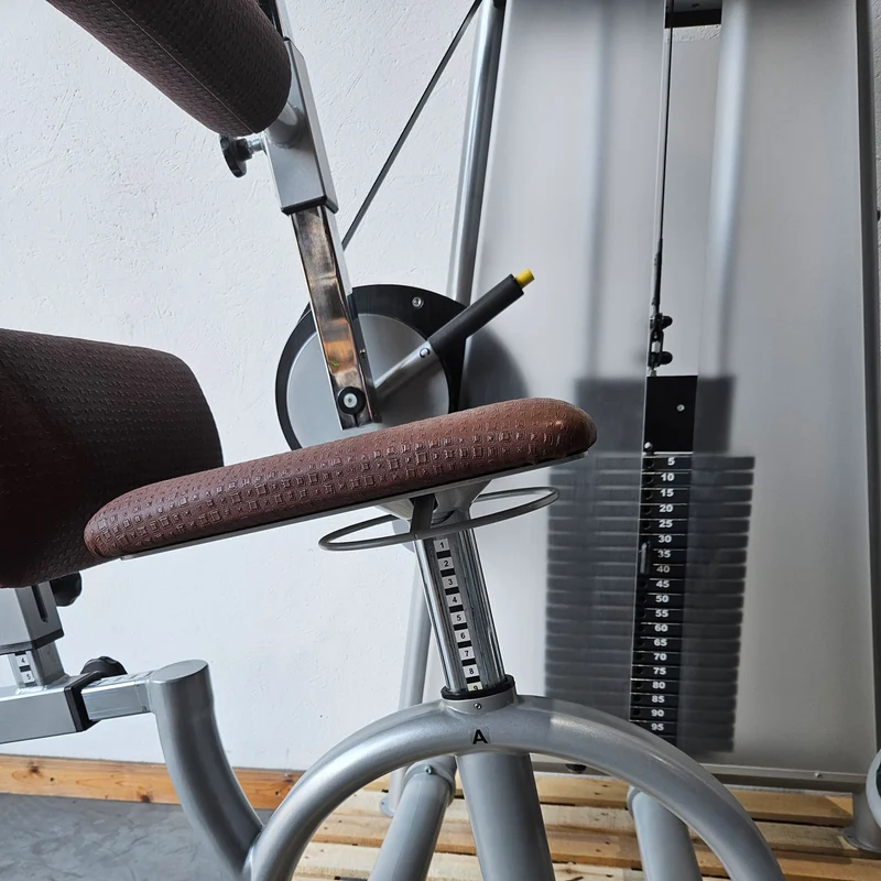 Proxowell bzw Proxomed Rückenflexion, Bauchmaschine, Rückenbeuger, Abdominal Crunch, 100kg Gewichtsblock, Compass bzw C-Well Serie, Rahmenfarbe Silber, gebraucht - überholter Zustand