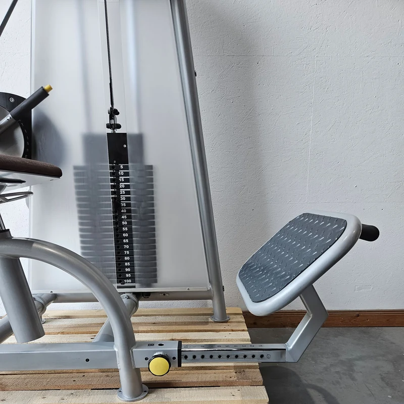Proxowell bzw Proxomed Rückenflexion, Bauchmaschine, Rückenbeuger, Abdominal Crunch, 100kg Gewichtsblock, Compass bzw C-Well Serie, Rahmenfarbe Silber, gebraucht - überholter Zustand