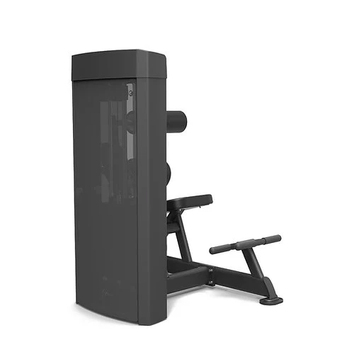 Spirit Fitness Bauchmaschine / Rückenstrecker SP-4609