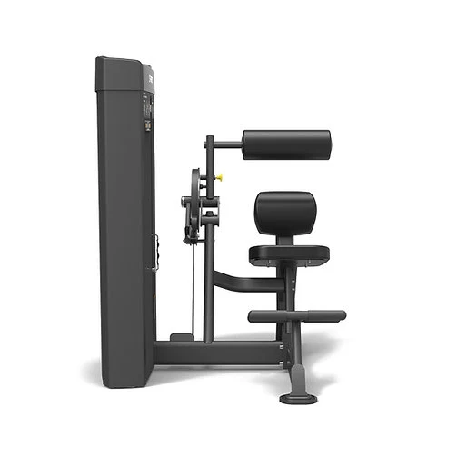 Spirit Fitness Bauchmaschine / Rückenstrecker SP-4609