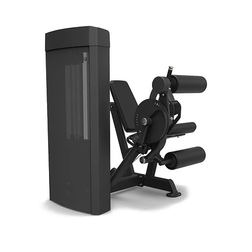 Spirit Fitness Beinstrecker / Beinbeuger SP-4605