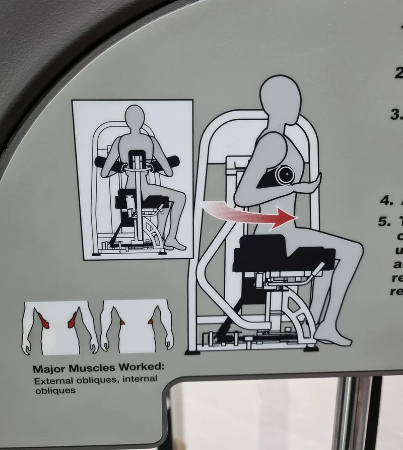 Nautilus Nitro Rotary Torso, Rotationsmaschine, Twister, Rumpfrotator, Rahmenfarbe Anthrazit - gebraucht - überholter Zustand