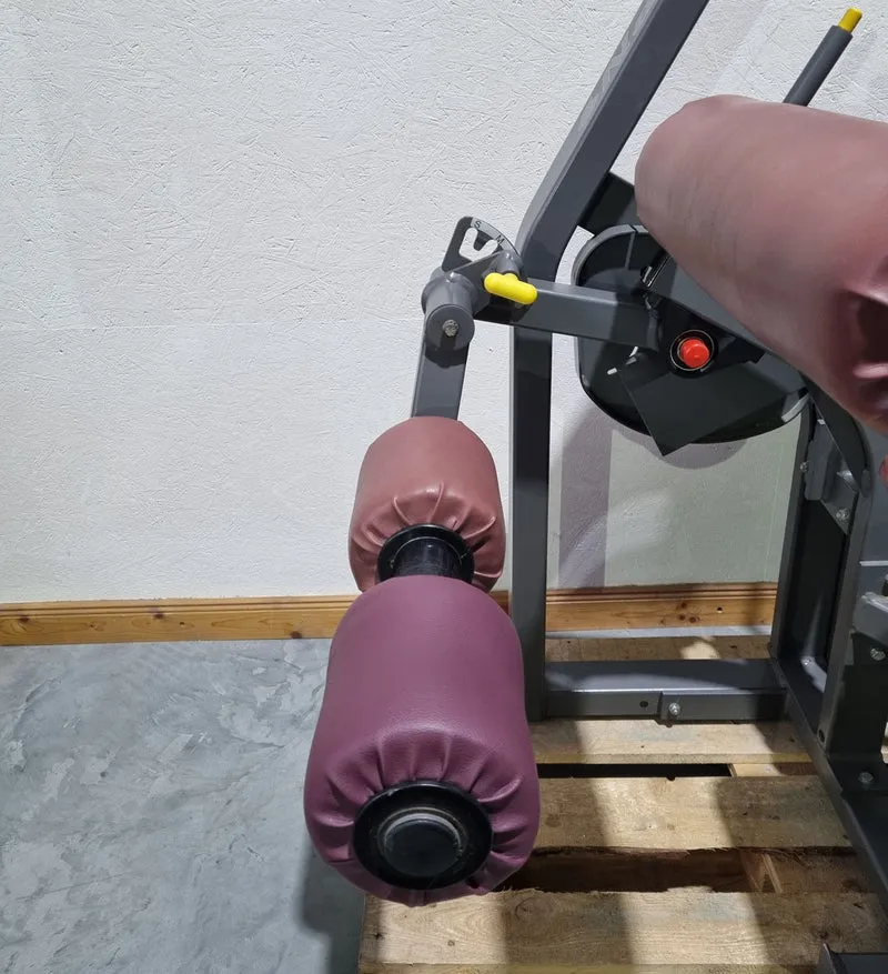 Nautilus Nitro Beinstrecker und Beinbeuger sitzend, 2 Geräte im Set, Leg Curl and Leg Extension seated, Rahmenfarbe Anthrazit, gebraucht - überholter Zustand