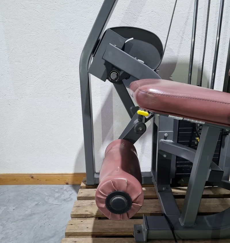 Nautilus Nitro Beinstrecker und Beinbeuger sitzend, 2 Geräte im Set, Leg Curl and Leg Extension seated, Rahmenfarbe Anthrazit, gebraucht - überholter Zustand