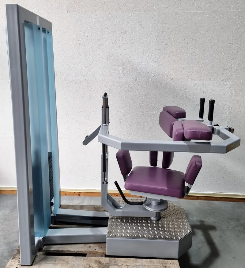 SVG Rumpfrotator - Rotationsmaschine - seitliche Bauchmuskeln, Rahmenfarbe Silber, Polsterfarbe Lila, gebraucht - überholter Zustand