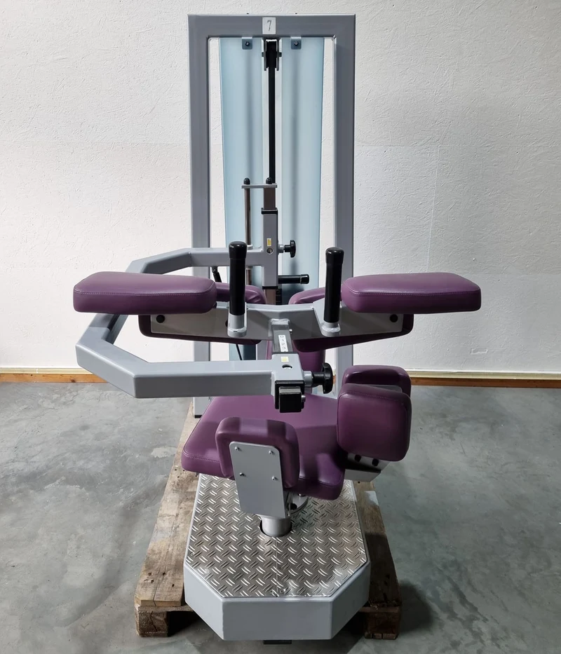 SVG Rumpfrotator - Rotationsmaschine - seitliche Bauchmuskeln, Rahmenfarbe Silber, Polsterfarbe Lila, gebraucht - überholter Zustand