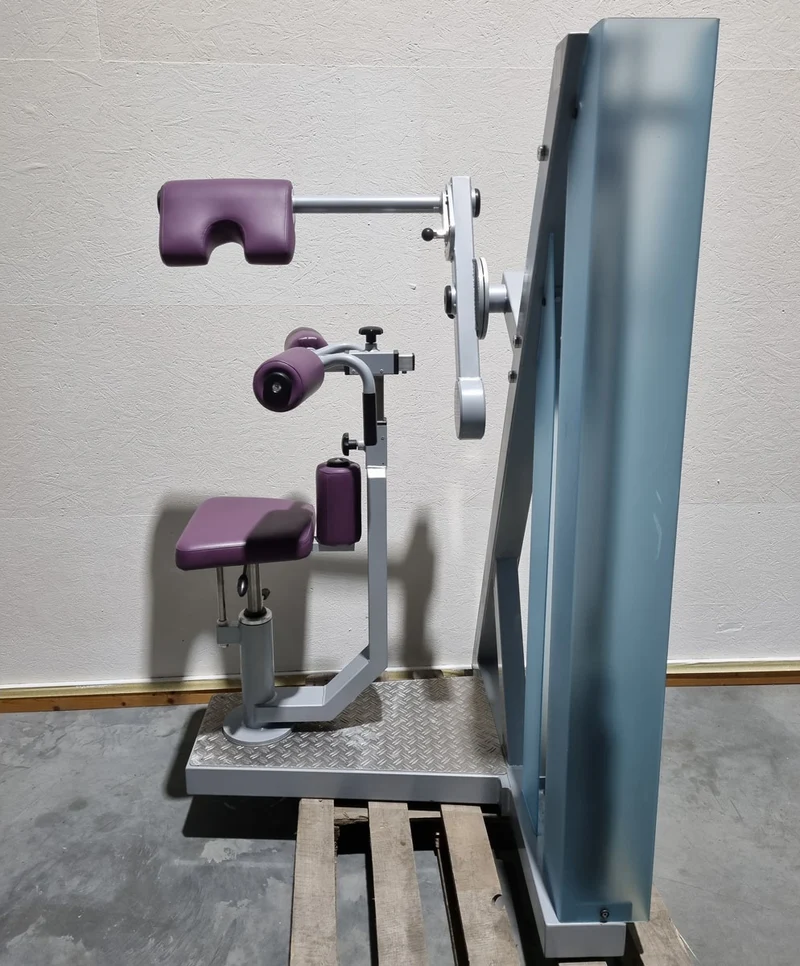SVG HWS-Trainer, Hals und Nacken Trainingsmaschine, Halswirbelbsäule Kräftigung, Reha Line, Rahmenfarbe Silber, Polsterfarbe Lila, gebrauchter - überholter Zustand