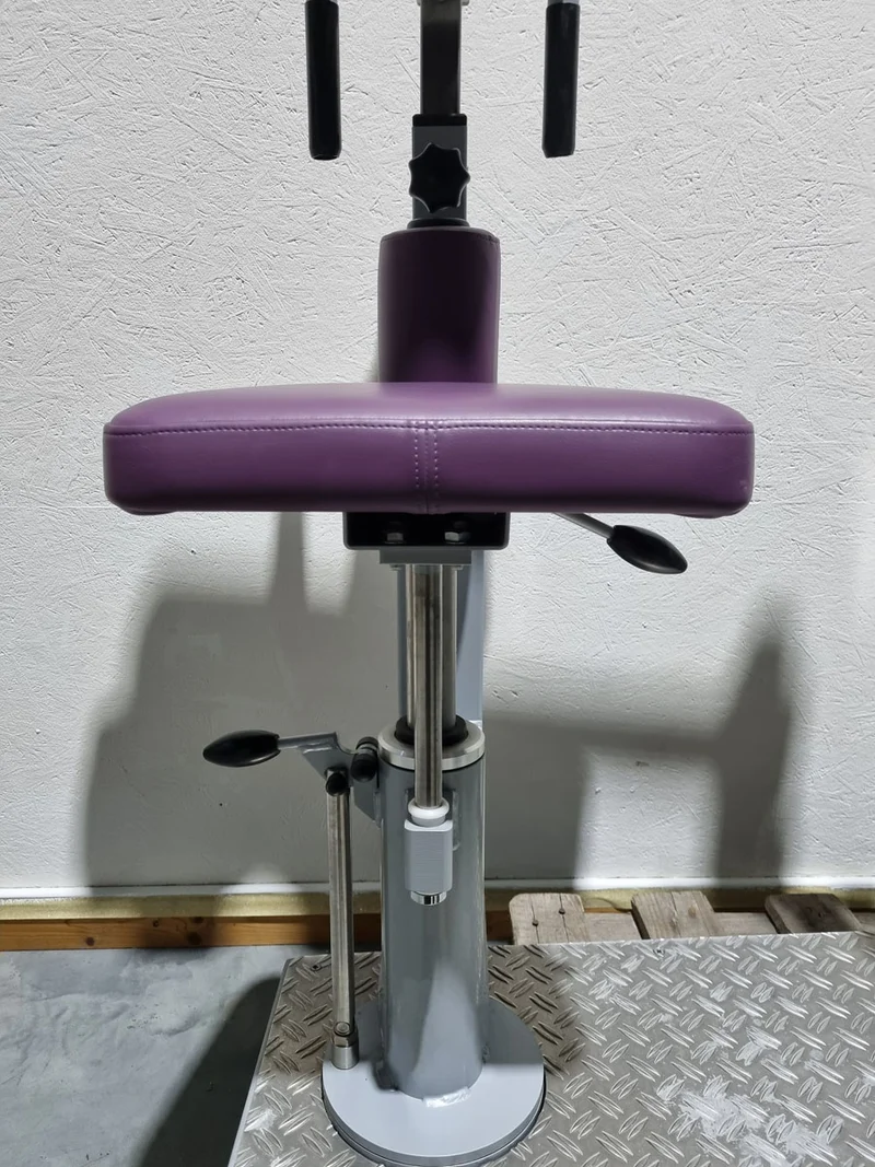 SVG HWS-Trainer, Hals und Nacken Trainingsmaschine, Halswirbelbsäule Kräftigung, Reha Line, Rahmenfarbe Silber, Polsterfarbe Lila, gebrauchter - überholter Zustand
