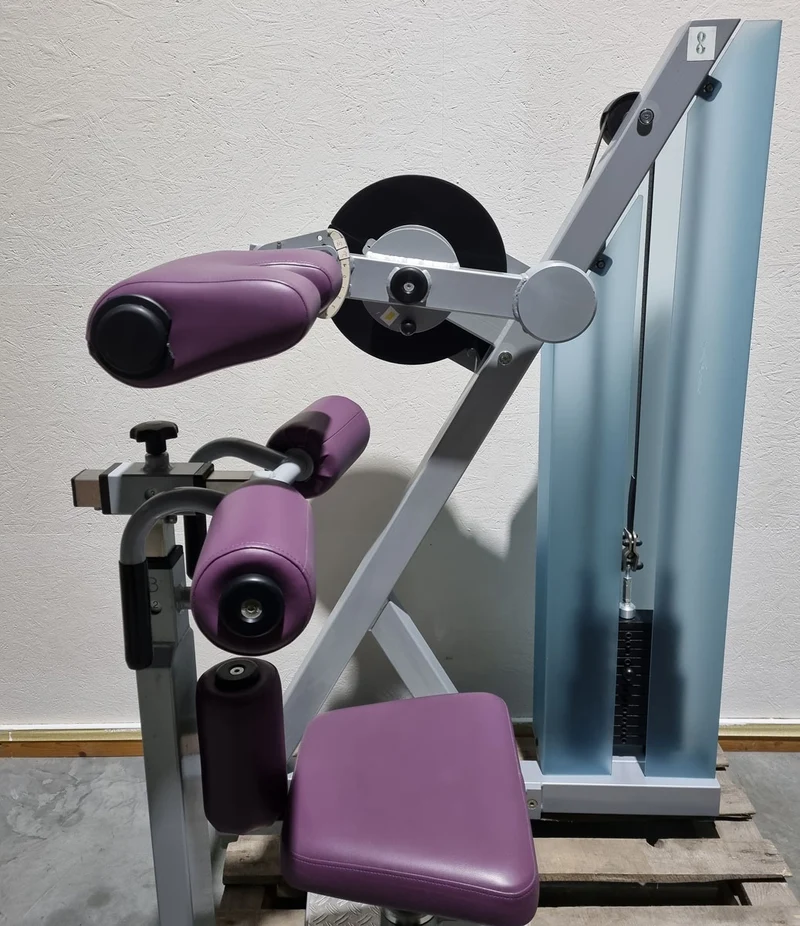 SVG HWS-Trainer, Hals und Nacken Trainingsmaschine, Halswirbelbsäule Kräftigung, Reha Line, Rahmenfarbe Silber, Polsterfarbe Lila, gebrauchter - überholter Zustand