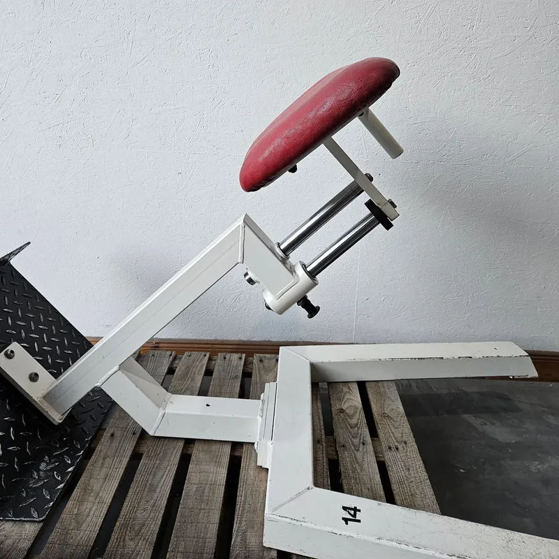 Gym80 Rückenstreckerbank, 45 Grad, Hyperextension, Rahmen Weiß, Polster Rot, gebraucht