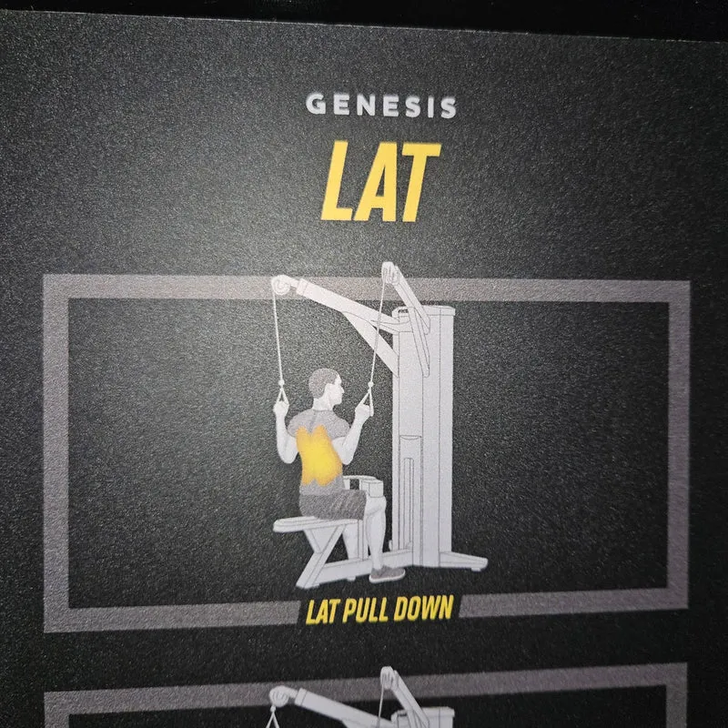 Freemotion Genesis Kraftgeräte Set, 10 Bilaterale Kabelzug Fitnessgeräte, Baujahr 2019 und 2020 - auch als Zirkel nutzbar, Made in USA - gebraucht - Neuwertiger Zustand