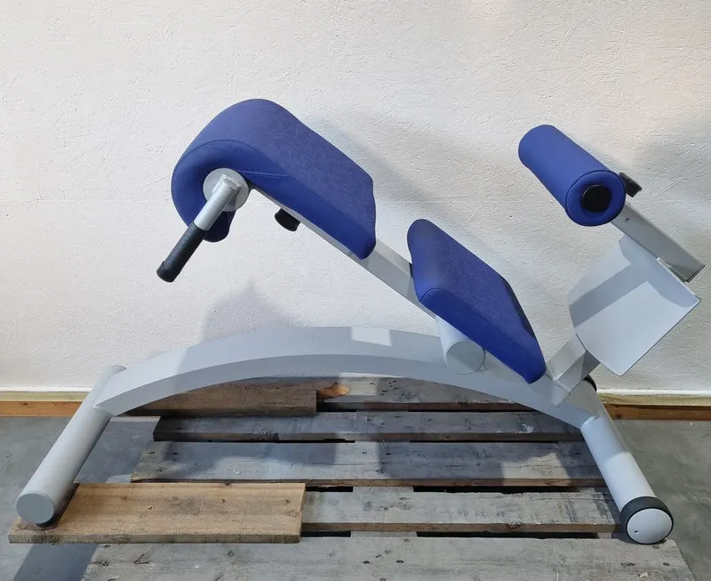 Frei Genius Basic Lateral-Lumbaltrainer, Hyperextension 15 bis 45° verstellbar, Rückenstreckerbank, Rahmenfarbe Silber, gebraucht - überholter Zustand