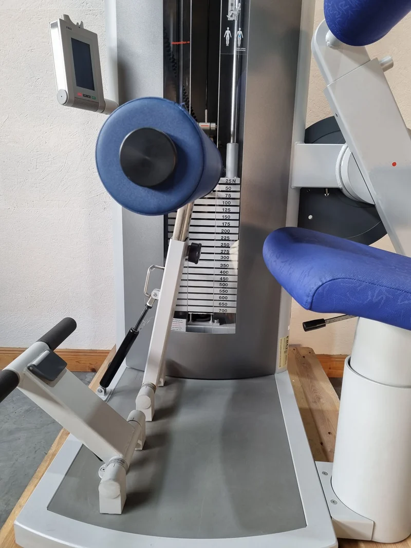 Frei Genius Eco Rückenstreckermaschine, Hyperextension, Rückenmaschine Lower Back, Rahmenfarbe Silber, gebraucht - überholter Zustand