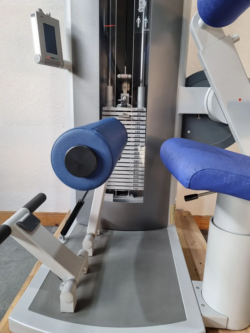 Frei Genius Eco Rückenstreckermaschine, Hyperextension, Rückenmaschine Lower Back, Rahmenfarbe Silber, gebraucht - überholter Zustand