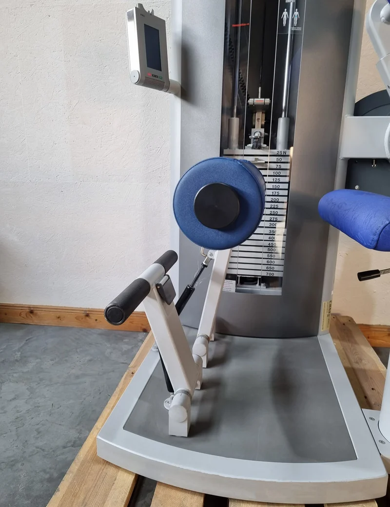 Frei Genius Eco Rückenstreckermaschine, Hyperextension, Rückenmaschine Lower Back, Rahmenfarbe Silber, gebraucht - überholter Zustand