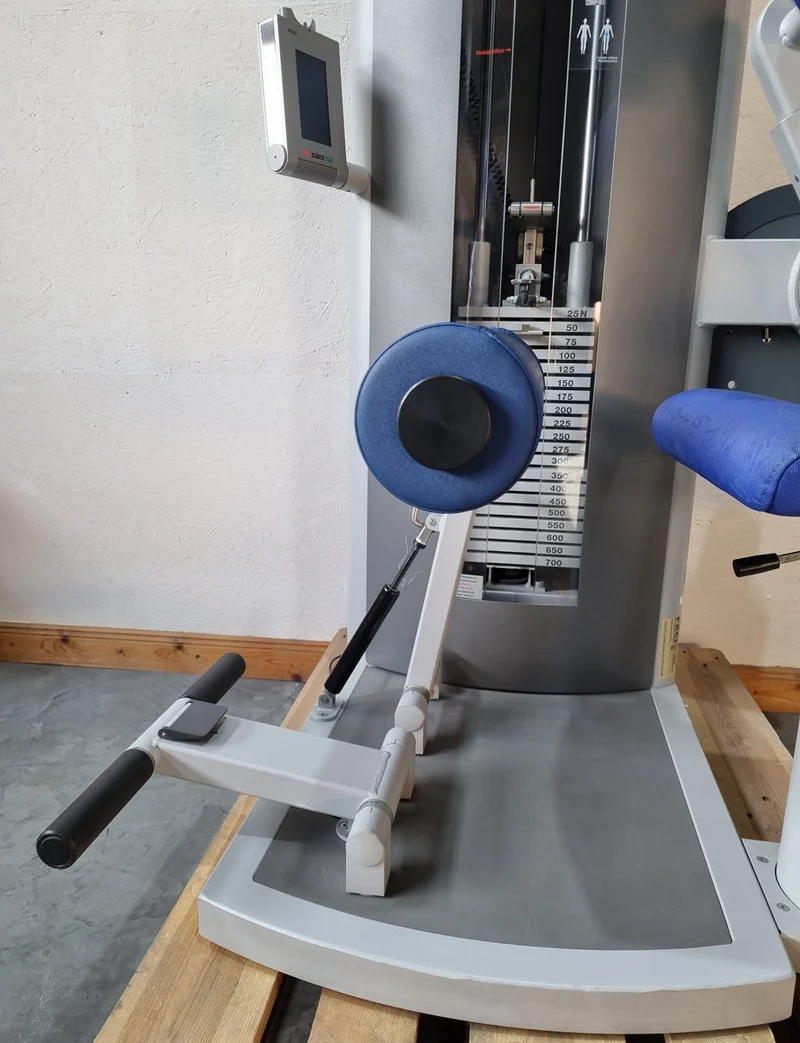 Frei Genius Eco Rückenstreckermaschine, Hyperextension, Rückenmaschine Lower Back, Rahmenfarbe Silber, gebraucht - überholter Zustand