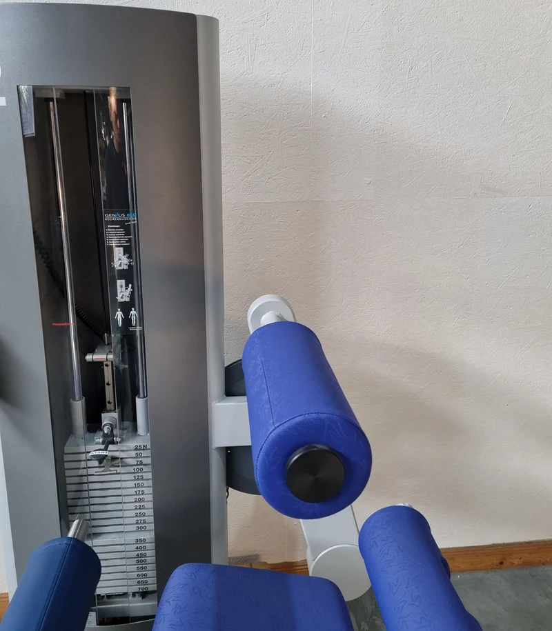 Frei Genius Eco Rückenstreckermaschine, Hyperextension, Rückenmaschine Lower Back, Rahmenfarbe Silber, gebraucht - überholter Zustand