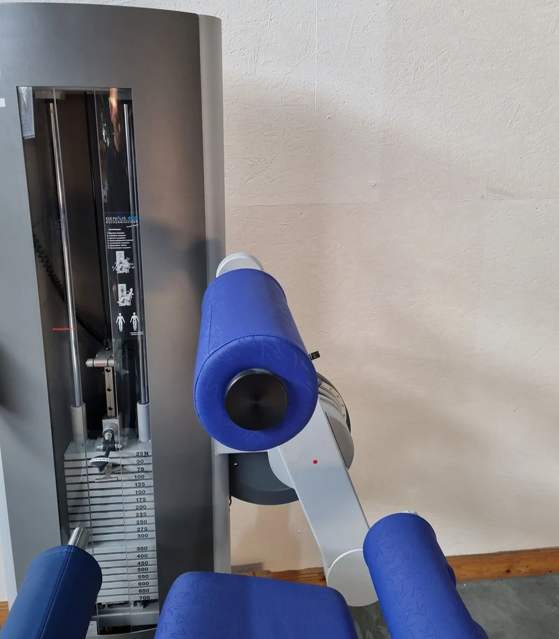 Frei Genius Eco Rückenstreckermaschine, Hyperextension, Rückenmaschine Lower Back, Rahmenfarbe Silber, gebraucht - überholter Zustand